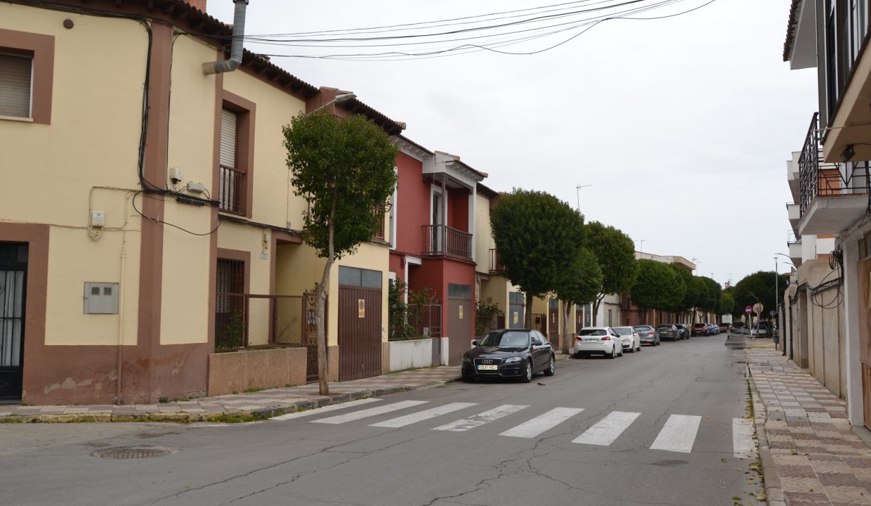 calle-
